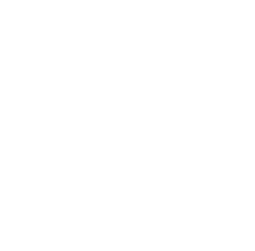 Logo Inserr - INSERR centre de formation spécialisé dans l’éducation à la sécurité routière